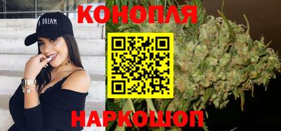 сатива Беслан