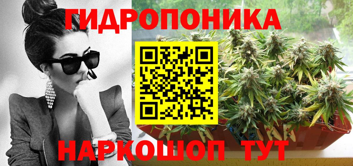 Бошки Шишки MAZAR  Марихуана гибрид  Шишки марихуана сатива  Вход с VPN  Воронеж 